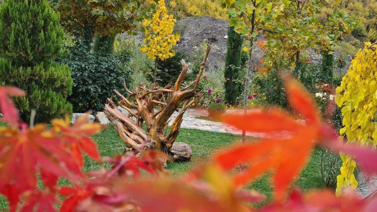 ホテル Dibra Park Agrotourism Peshkopi エクステリア 写真